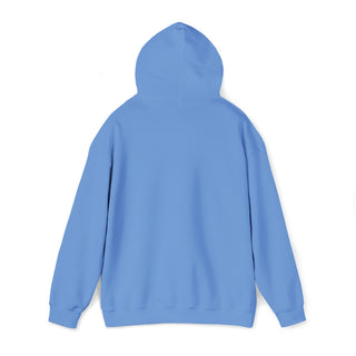 Copy of Copy of Unisex Heavy Blend™ Hooded Sweatshirt