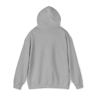 Copy of Copy of Unisex Heavy Blend™ Hooded Sweatshirt